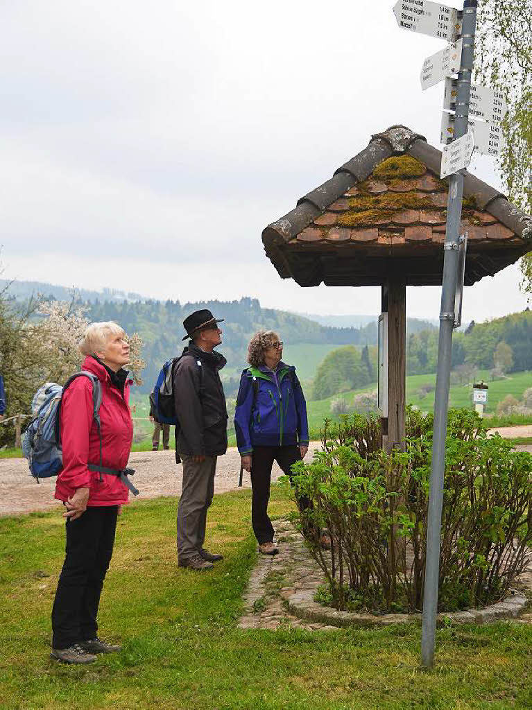 Mal ber Stock und Stein, mal in der Stadt oder aber auch hoch droben am und im Schloss Brgeln waren die BZ-Wanderer bei der Auftaktveranstaltung unterwegs. 30 wackere Wandersleut’ trotzten Wind, Regen und Nebel, und erlebten einiges.