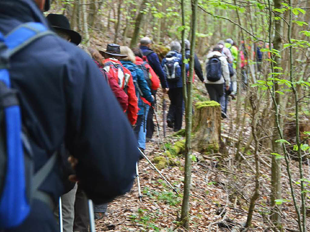 Mal ber Stock und Stein, mal in der Stadt oder aber auch hoch droben am und im Schloss Brgeln waren die BZ-Wanderer bei der Auftaktveranstaltung unterwegs. 30 wackere Wandersleut’ trotzten Wind, Regen und Nebel, und erlebten einiges.