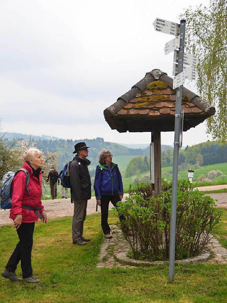 Mal ber Stock und Stein, mal in der Stadt oder aber auch hoch droben am und im Schloss Brgeln waren die BZ-Wanderer bei der Auftaktveranstaltung unterwegs. 30 wackere Wandersleut’ trotzten Wind, Regen und Nebel, und erlebten einiges.