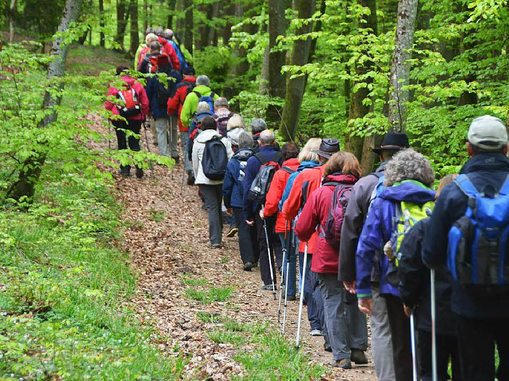 Mal ber Stock und Stein, mal in der Stadt oder aber auch hoch droben am und im Schloss Brgeln waren die BZ-Wanderer bei der Auftaktveranstaltung unterwegs. 30 wackere Wandersleut’ trotzten Wind, Regen und Nebel, und erlebten einiges.