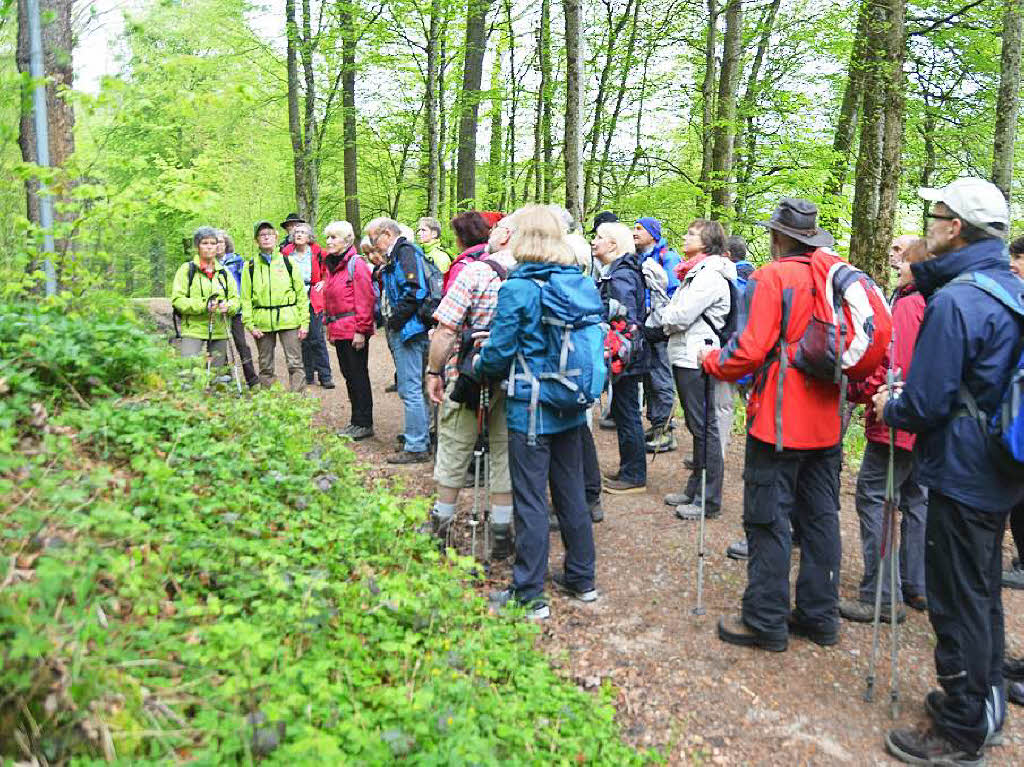 Mal ber Stock und Stein, mal in der Stadt oder aber auch hoch droben am und im Schloss Brgeln waren die BZ-Wanderer bei der Auftaktveranstaltung unterwegs. 30 wackere Wandersleut’ trotzten Wind, Regen und Nebel, und erlebten einiges.