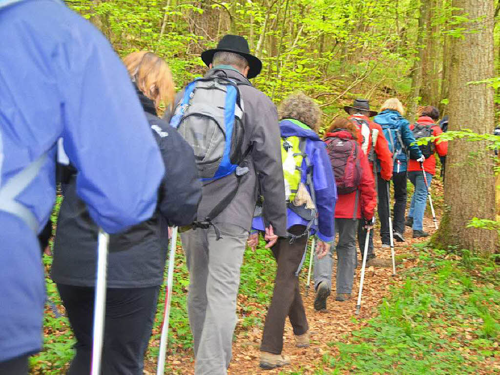 Mal ber Stock und Stein, mal in der Stadt oder aber auch hoch droben am und im Schloss Brgeln waren die BZ-Wanderer bei der Auftaktveranstaltung unterwegs. 30 wackere Wandersleut’ trotzten Wind, Regen und Nebel, und erlebten einiges.