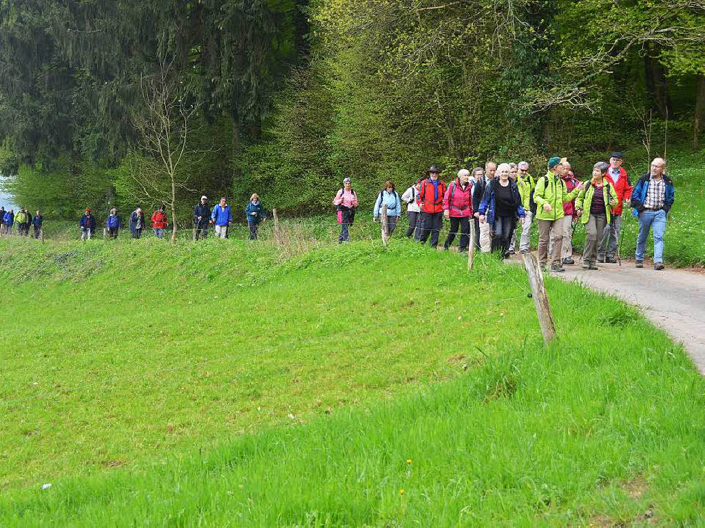 Mal ber Stock und Stein, mal in der Stadt oder aber auch hoch droben am und im Schloss Brgeln waren die BZ-Wanderer bei der Auftaktveranstaltung unterwegs. 30 wackere Wandersleut’ trotzten Wind, Regen und Nebel, und erlebten einiges.