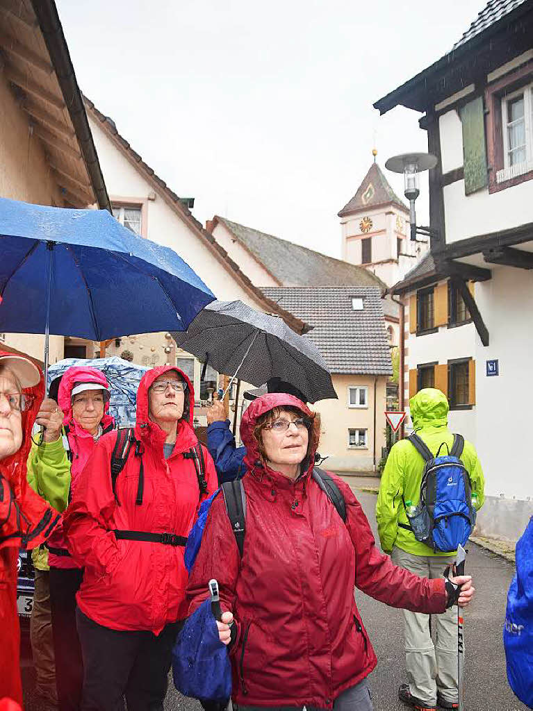 Mal ber Stock und Stein, mal in der Stadt oder aber auch hoch droben am und im Schloss Brgeln waren die BZ-Wanderer bei der Auftaktveranstaltung unterwegs. 30 wackere Wandersleut’ trotzten Wind, Regen und Nebel, und erlebten einiges.