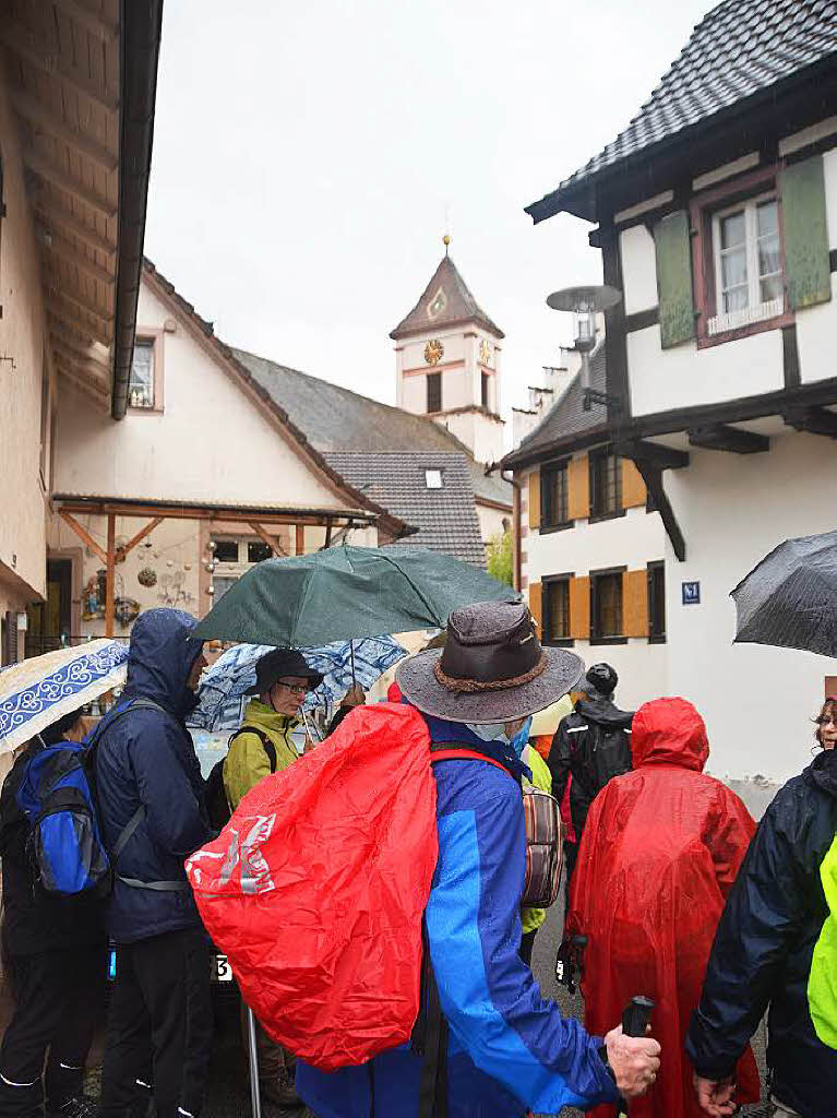 Mal ber Stock und Stein, mal in der Stadt oder aber auch hoch droben am und im Schloss Brgeln waren die BZ-Wanderer bei der Auftaktveranstaltung unterwegs. 30 wackere Wandersleut’ trotzten Wind, Regen und Nebel, und erlebten einiges.