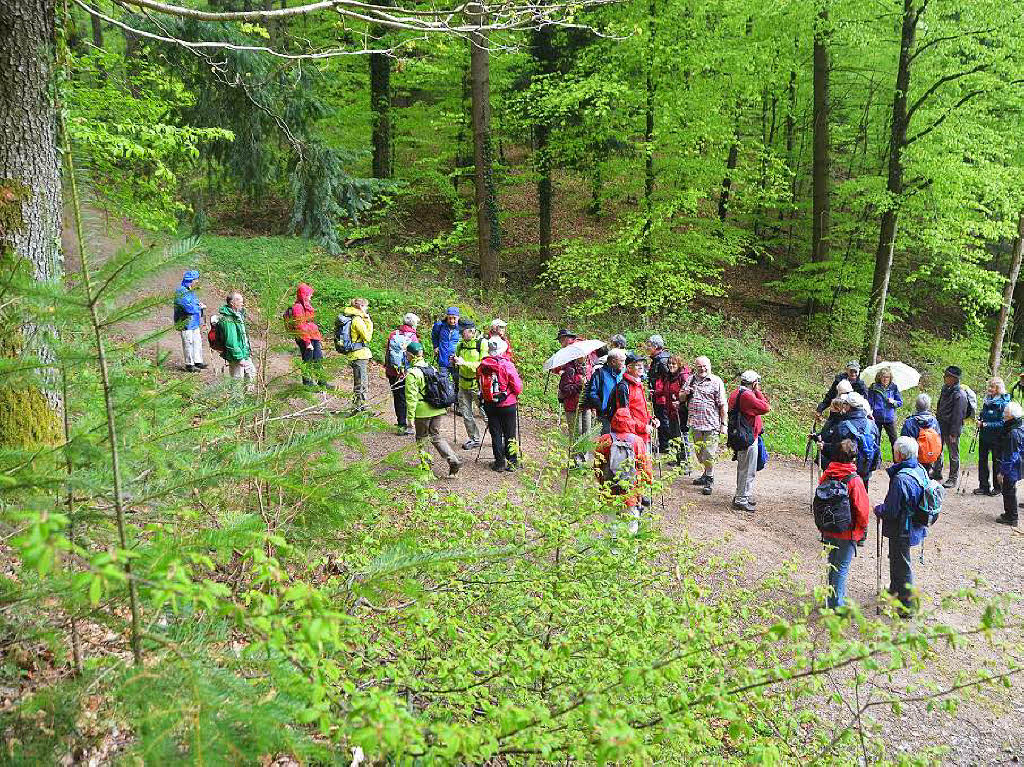 Mal ber Stock und Stein, mal in der Stadt oder aber auch hoch droben am und im Schloss Brgeln waren die BZ-Wanderer bei der Auftaktveranstaltung unterwegs. 30 wackere Wandersleut’ trotzten Wind, Regen und Nebel, und erlebten einiges.