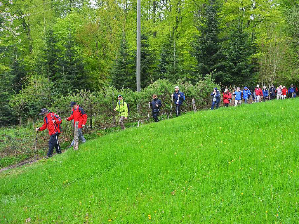 Mal ber Stock und Stein, mal in der Stadt oder aber auch hoch droben am und im Schloss Brgeln waren die BZ-Wanderer bei der Auftaktveranstaltung unterwegs. 30 wackere Wandersleut’ trotzten Wind, Regen und Nebel, und erlebten einiges.