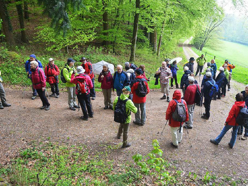 Mal ber Stock und Stein, mal in der Stadt oder aber auch hoch droben am und im Schloss Brgeln waren die BZ-Wanderer bei der Auftaktveranstaltung unterwegs. 30 wackere Wandersleut’ trotzten Wind, Regen und Nebel, und erlebten einiges.