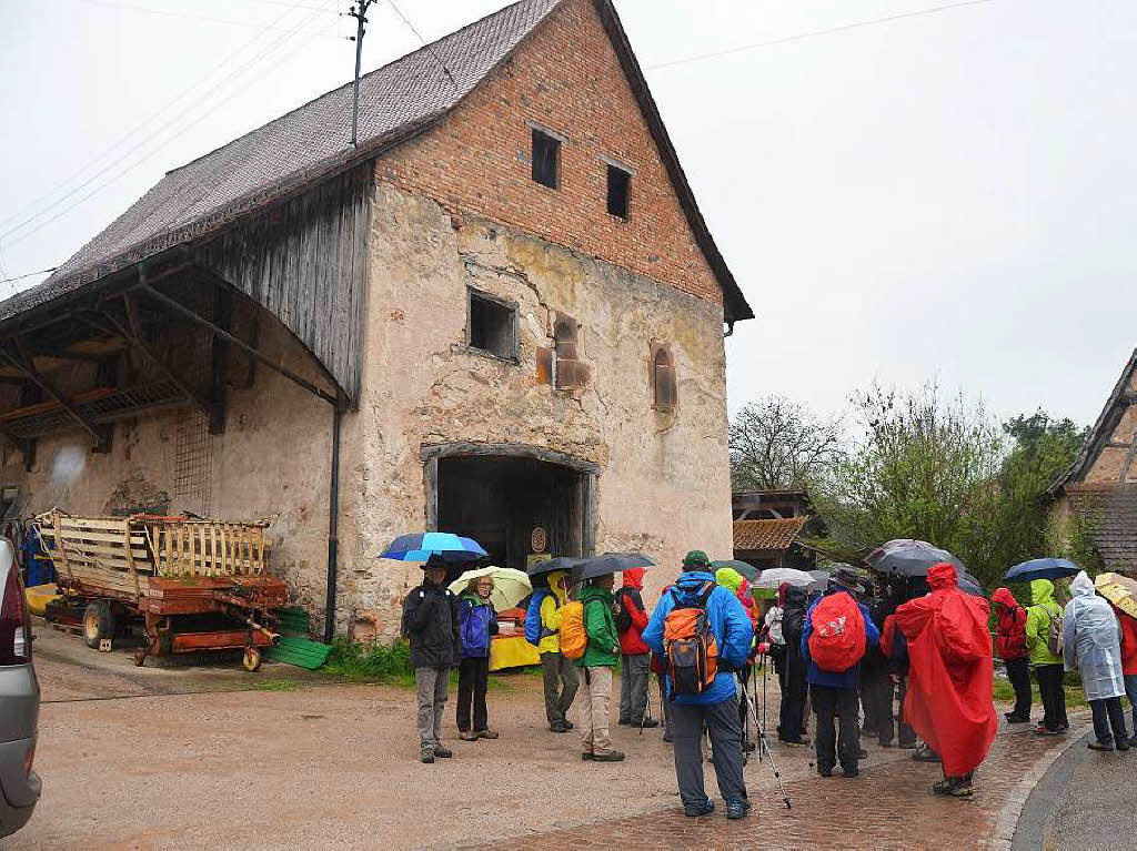 Mal ber Stock und Stein, mal in der Stadt oder aber auch hoch droben am und im Schloss Brgeln waren die BZ-Wanderer bei der Auftaktveranstaltung unterwegs. 30 wackere Wandersleut’ trotzten Wind, Regen und Nebel, und erlebten einiges.