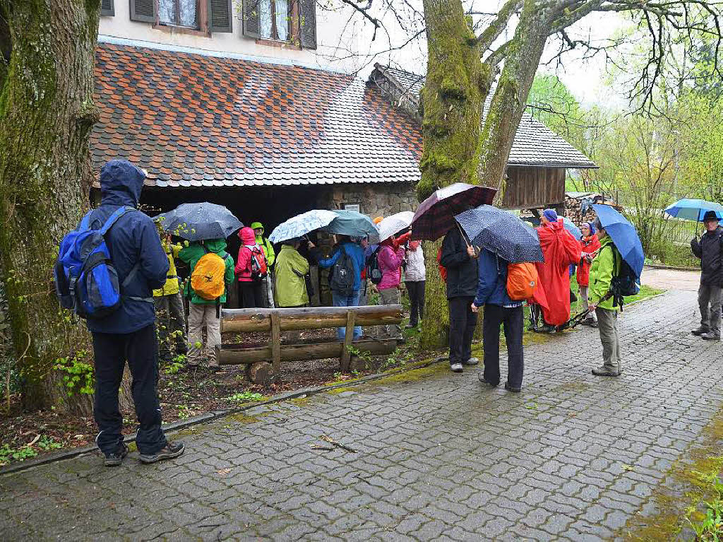 Mal ber Stock und Stein, mal in der Stadt oder aber auch hoch droben am und im Schloss Brgeln waren die BZ-Wanderer bei der Auftaktveranstaltung unterwegs. 30 wackere Wandersleut’ trotzten Wind, Regen und Nebel, und erlebten einiges.