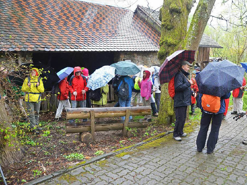 Mal ber Stock und Stein, mal in der Stadt oder aber auch hoch droben am und im Schloss Brgeln waren die BZ-Wanderer bei der Auftaktveranstaltung unterwegs. 30 wackere Wandersleut’ trotzten Wind, Regen und Nebel, und erlebten einiges.