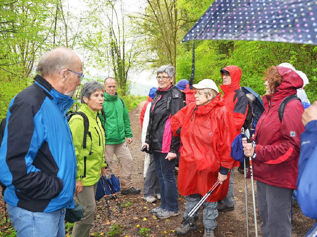 Mal ber Stock und Stein, mal in der Stadt oder aber auch hoch droben am und im Schloss Brgeln waren die BZ-Wanderer bei der Auftaktveranstaltung unterwegs. 30 wackere Wandersleut’ trotzten Wind, Regen und Nebel, und erlebten einiges.