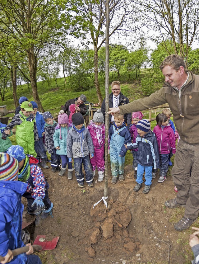 Eine Winterlinde, der Baum des Jahres ...en von Kindergartenkindern gepflanzt.   | Foto: Bernhard Rein