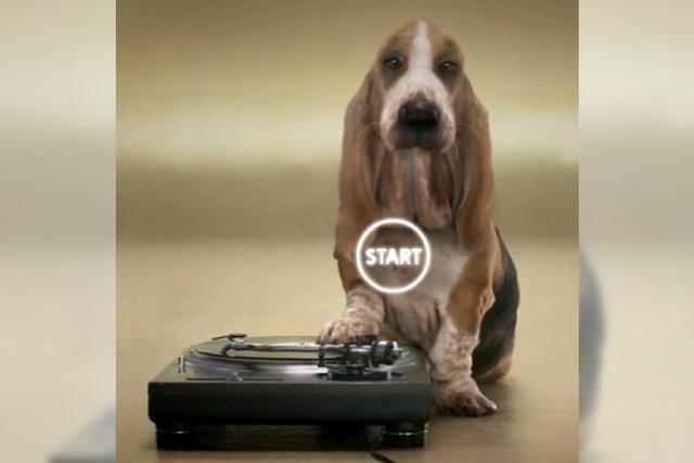 Dog is a DJ
