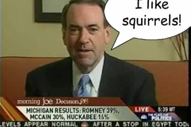 Der Präsidentenkandidat und das Eichhörnchen