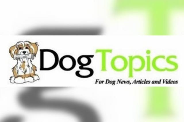 Dogtopics: Mitmach-Internet fr Hundefreunde