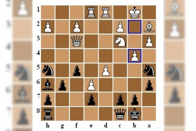 Schach und Go im Internet