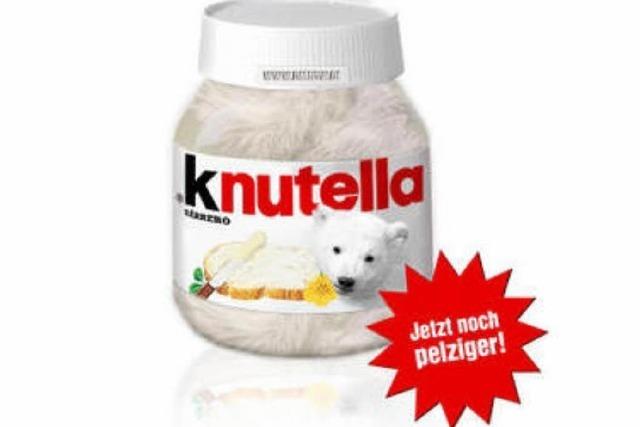 Knutella: Eisbr zum Draufschmieren