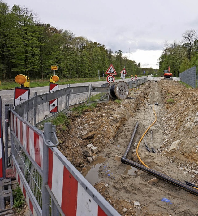 Auf ber 2090 Metern Lnge verlaufen v...50 Menschen aufgestellt werden sollen.  | Foto: julius steckmeister / Manfred Frietsch