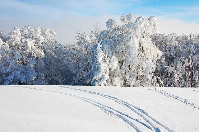 Auf dem Kandel liegen jetzt, Ende April, wieder 45 Zentimeter Schnee.  | Foto: Bernd Fackler