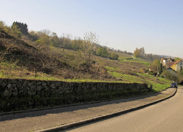 Blick auf das knftige Baugebiet Hinter Hof II an der Hertinger Strae -  | Foto: Jutta Schtz