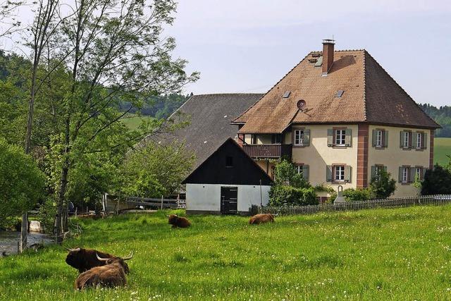 Verbraucher wnschen sich tierfreundliche Landwirtschaft