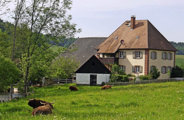 So wnschen sich die Deutschen ihre Landwirtschaft.  | Foto: Barbara Riess