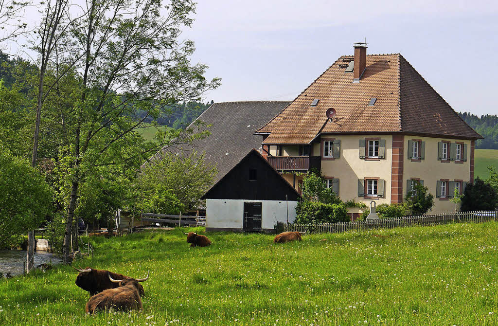 Verbraucher wünschen sich tierfreundliche Landwirtschaft - Panorama