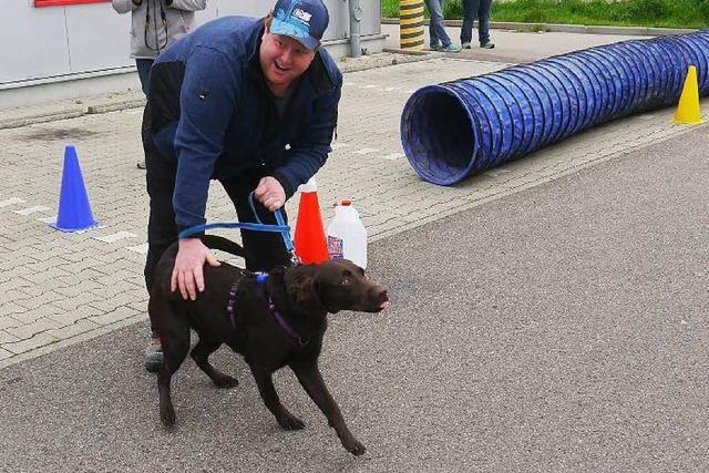 DRK veranstaltet Casting fr Rettungshunde