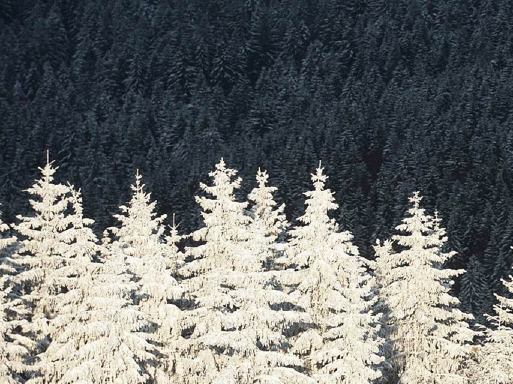 Ende April auf dem Kandel: Skispa im 45 cm hohen Schnee.