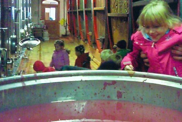 Bezirkskellerei lädt zu Kinderkellerführungen – es gibt Traubensaft zu probieren, keinen Wein natürlich