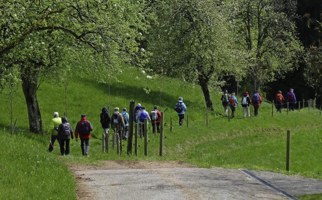 Trotz schlechter Wetterprognosen unter...h stattfindende gemeinsame Wanderung.   | Foto: ZVG