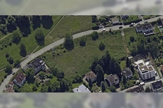 Neuer Anlauf fr die Bebauung der Pferdewiese in Herdern