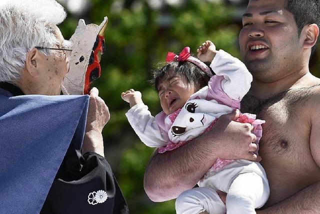 Fotos: Schreiende Babys beim Konaki Sumo