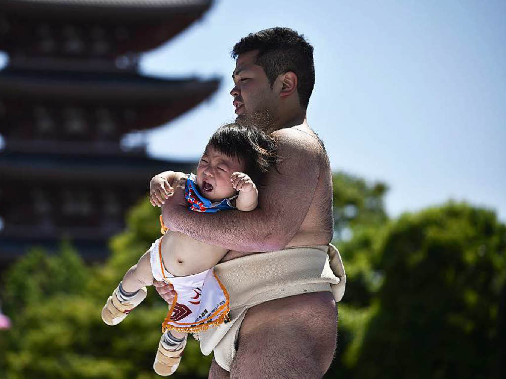 Was bel aussieht, soll Japanern zufolge nur dem Wohle der Kinder dienen. Nach einem Sprichwort heit es: Je lauter der Brller des Babys, desto besser die Zukunftsaussichten.
