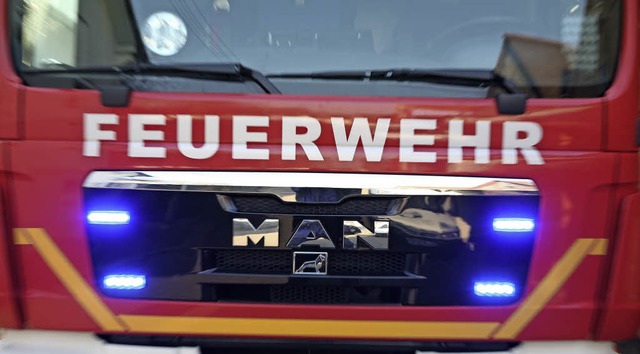 Die Feuerwehr Neuenburg erhlt ein TLF 4000.   | Foto: dpa