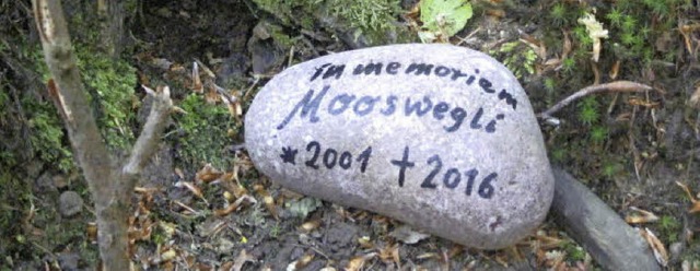 In Erinnerung an den Zauberwald  ist e...222;Mooswegli&#8220; abgelegt worden.   | Foto: privat