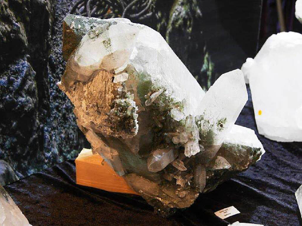 Egal ob Dinosaurierfossilien oder Meteoriten – bei der 41. Mineralienbrse in Bad Sckingen gab es viel zu entdecken.