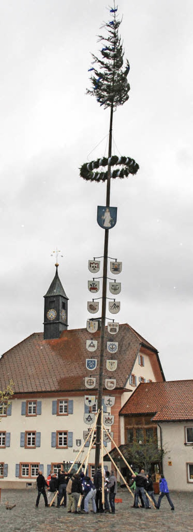 Der Maibaum in Grafenhausen steht.  | Foto: Chris Seifried