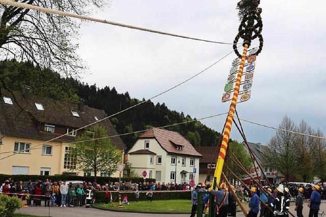 Fotos: Maibaumstellen und Umzug in Bleibach