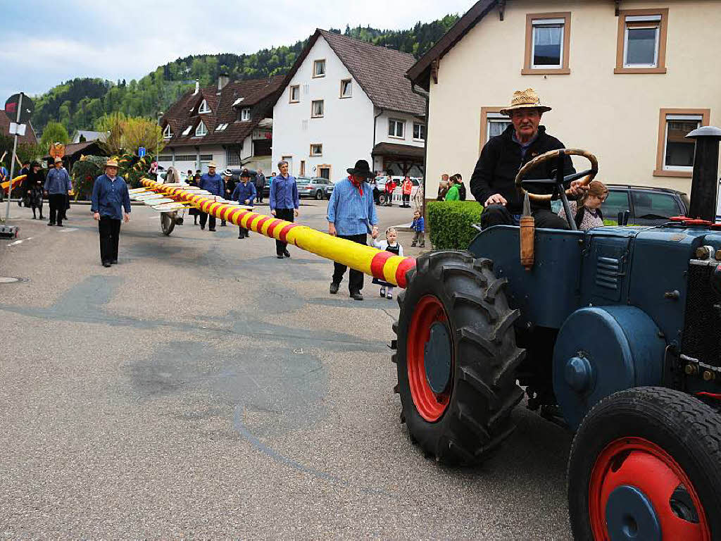 Das in den badischen Farben gehaltene Prachtexemplar von Maibaum wurde mit tollem Festumzug zum Bahnhof gefahren