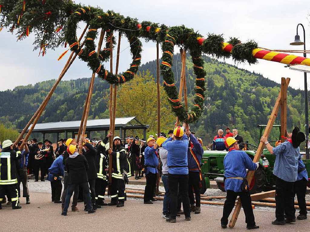 Mit vereinter Kraft wurde der Maibaum in alter Tradition aufgestellt