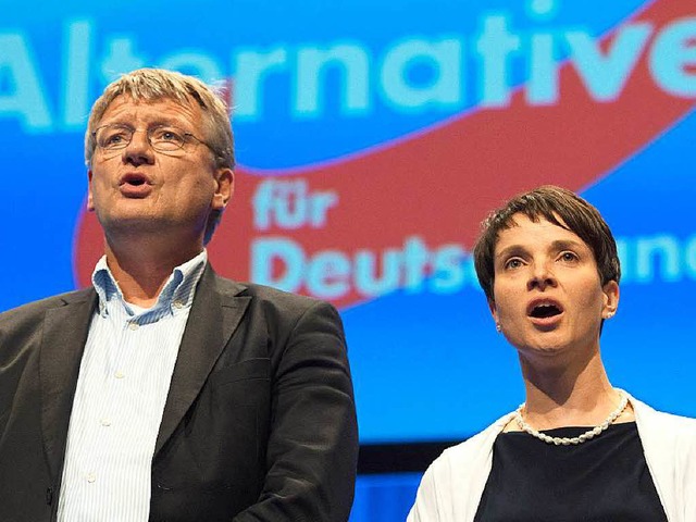 Die AfD-Parteivorsitzenden Jrg Meuthe... Stuttgart die deutsche Nationalhymne.  | Foto: dpa