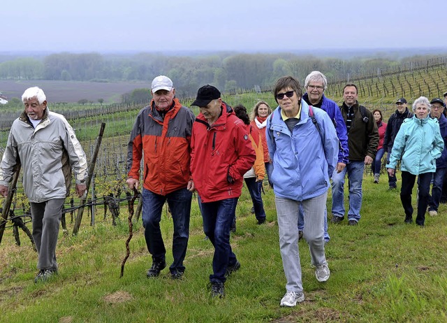 Jechtingen.  Maiwanderer auf dem Eichert.  | Foto: Roland Vitt