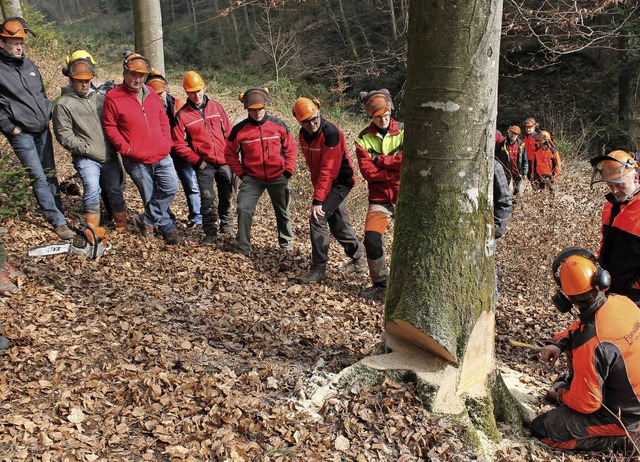 Einer zeigt, wie es gefahrloser geht: ...itsdemonstration im Tennenbacher Wald.  | Foto: Landratsamt