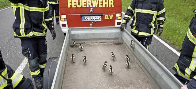&#8222;Kinder-Wagen&#8220;: Die Kken ... sie sehen und ihnen folgen konnten.    | Foto: Feuerwehr Schopfheim