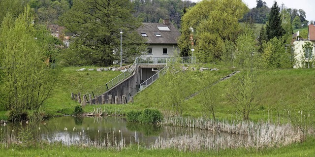 Das Rckhaltebecken &#8222;Bitzenmatte...rin liegende Teich  hat immer Wasser.   | Foto: Julius Steckmeister
