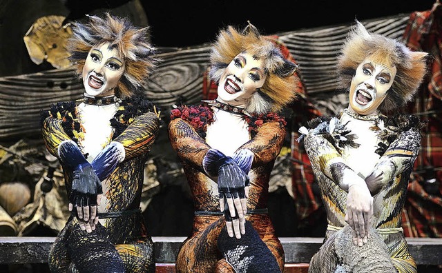 Szene aus der &#8222;Cats&#8220;-Inszenierung  im Basler Musical Theater   | Foto: Alessandro Pinna