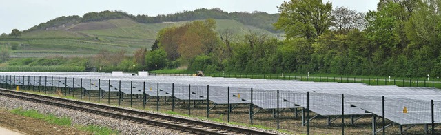 Vogtsburgs grter Stromlieferant ist der Solarpark in Achkarren.   | Foto: Julius Steckmeister