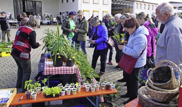 Pflanzenbrse und Gartenflohmarkt: Die... schon zur Erffnung  bestens besucht.  | Foto: Ilona Hge